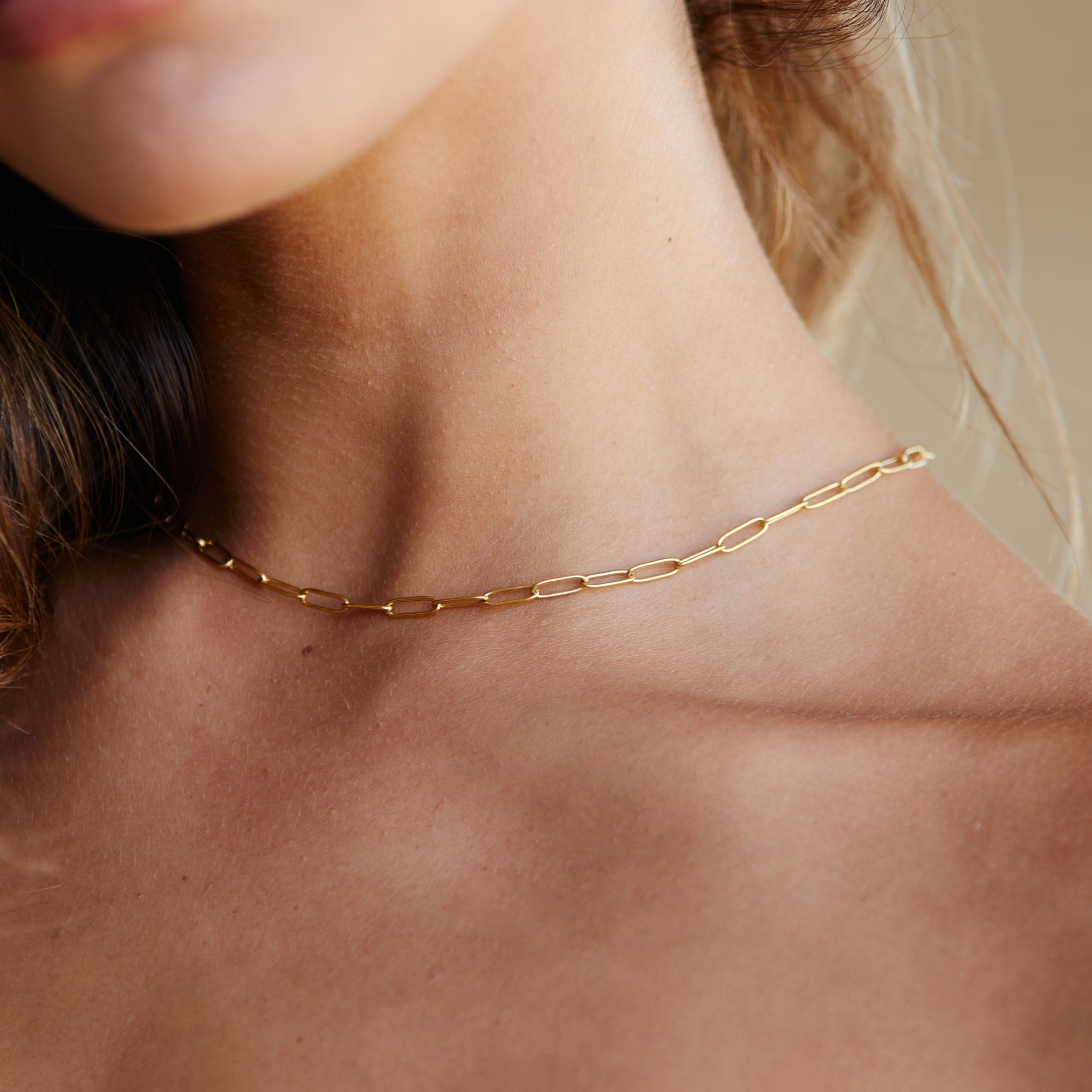 Linka™ Paperclip Choker